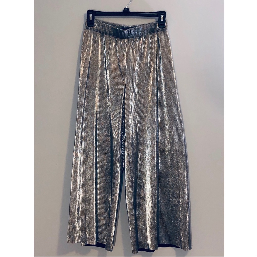 Silver Accordion Crop Pants!